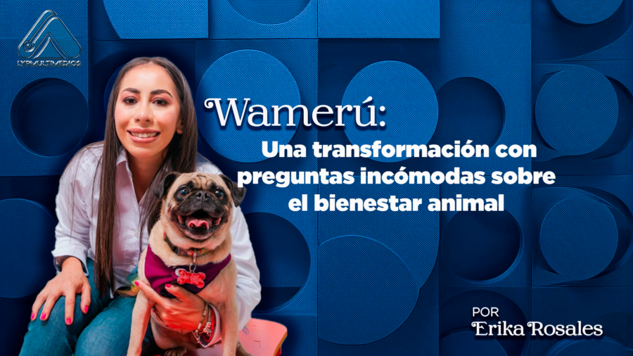 WAMERÚ_1_ER
